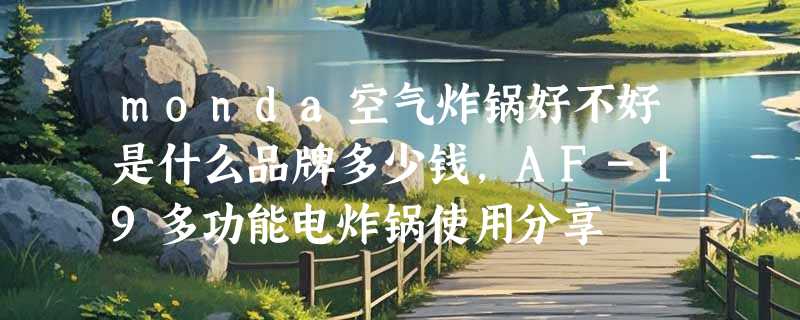 monda空气炸锅好不好是什么品牌多少钱，AF-19多功能电炸锅使用分享