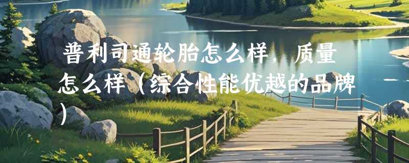 普利司通轮胎怎么样，质量怎么样（综合性能优越的品牌）