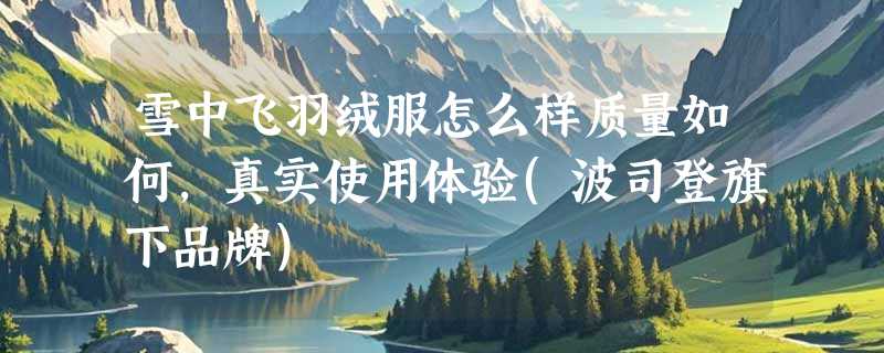 雪中飞羽绒服怎么样质量如何，真实使用体验(波司登旗下品牌)