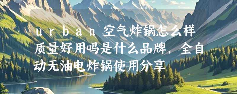 urban空气炸锅怎么样质量好用吗是什么品牌，全自动无油电炸锅使用分享