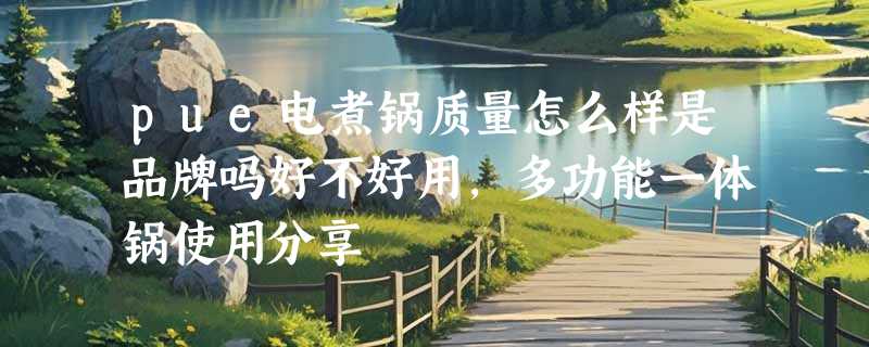 pue电煮锅质量怎么样是品牌吗好不好用，多功能一体锅使用分享