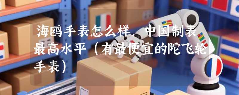 海鸥手表怎么样，中国制表最高水平（有最便宜的陀飞轮手表）