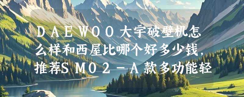 DAEWOO大宇破壁机怎么样和西屋比哪个好多少钱，推荐SM02-A款多功能轻养杯