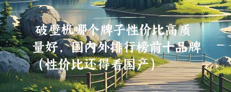 破壁机哪个牌子性价比高质量好，国内外排行榜前十品牌（性价比还得看国产）