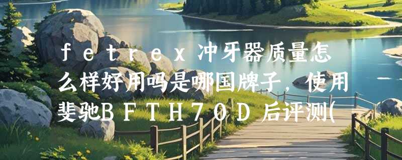 fetrex冲牙器质量怎么样好用吗是哪国牌子，使用斐驰BFTH70D后评测(1000ml超大水箱)