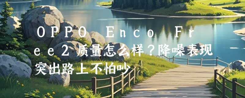 OPPO Enco Free2质量怎么样？降噪表现突出路上不怕吵