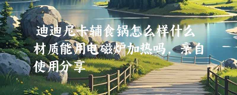 迪迪尼卡辅食锅怎么样什么材质能用电磁炉加热吗，亲自使用分享