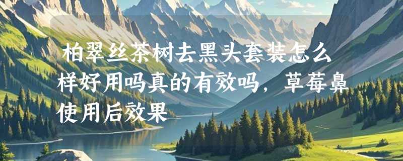 柏翠丝茶树去黑头套装怎么样好用吗真的有效吗，草莓鼻使用后效果