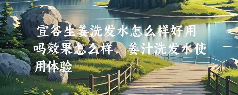 宣谷生姜洗发水怎么样好用吗效果怎么样，姜汁洗发水使用体验