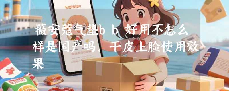 薇安蔻气垫bb好用不怎么样是国产吗，干皮上脸使用效果