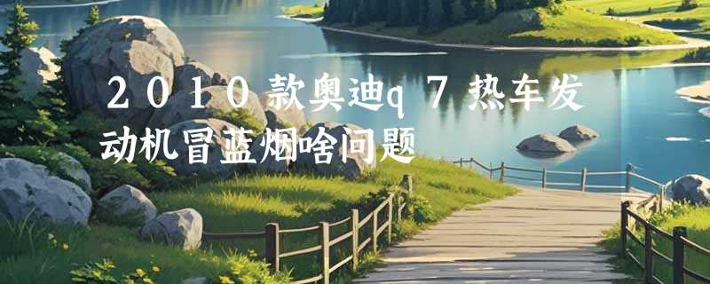 2010款奥迪q7热车发动机冒蓝烟啥问题