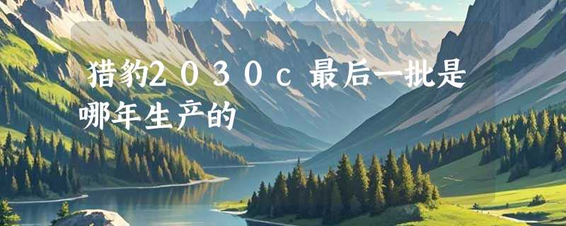猎豹2030c最后一批是哪年生产的