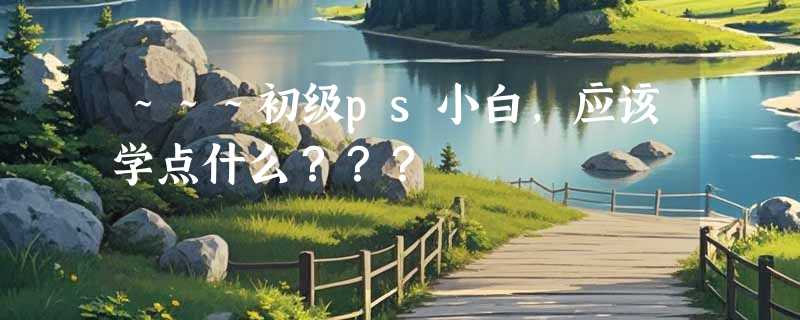 ～～～初级ps小白，应该学点什么？？？