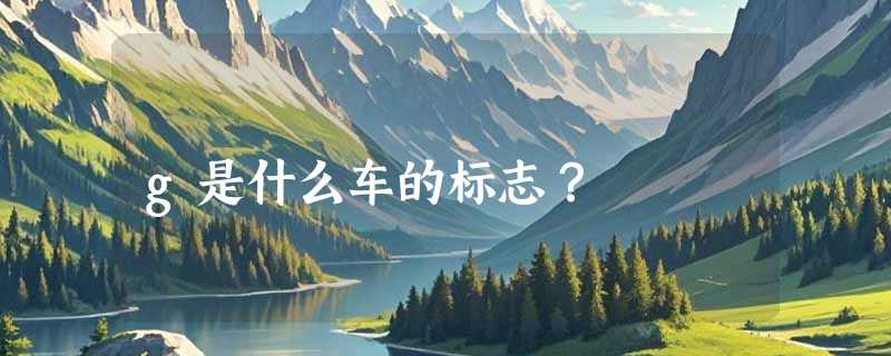 g是什么车的标志？