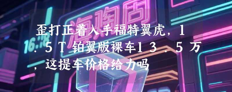歪打正着入手福特翼虎，1.5T铂翼版裸车13.5万，这提车价格给力吗