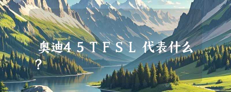 奥迪45TFSL代表什么？