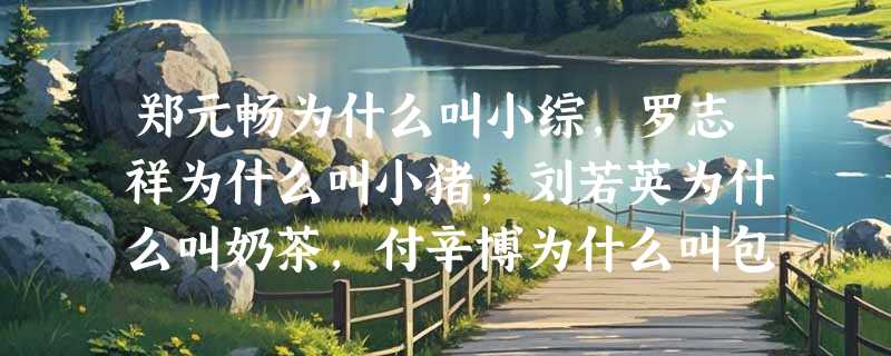 郑元畅为什么叫小综，罗志祥为什么叫小猪，刘若英为什么叫奶茶，付辛博为什么叫包子