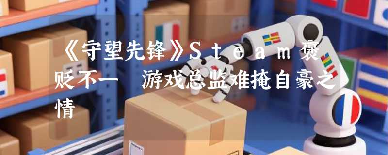 《守望先锋》Steam褒贬不一 游戏总监难掩自豪之情