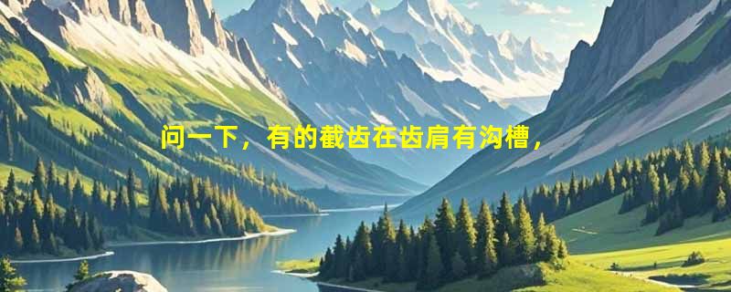 问一下，有的截齿在齿肩有沟槽，有什么作用？能帮忙解答吗？