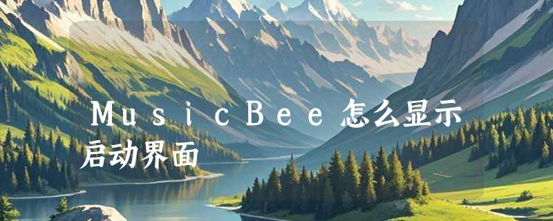 MusicBee怎么显示启动界面