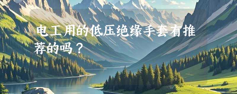 电工用的低压绝缘手套有推荐的吗？