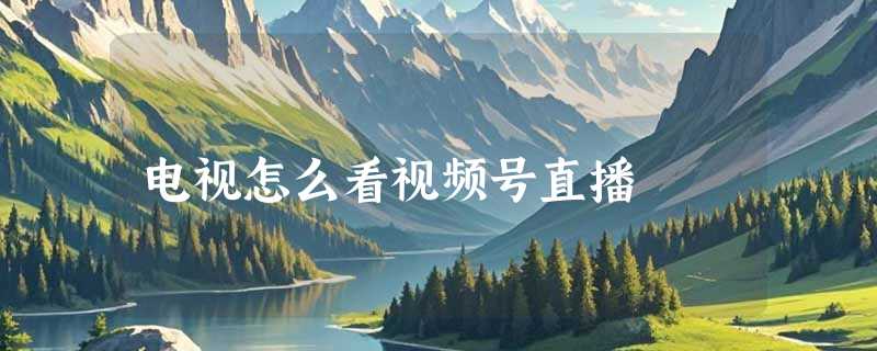 电视怎么看视频号直播