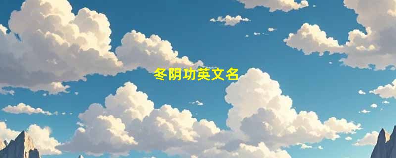 冬阴功英文名
