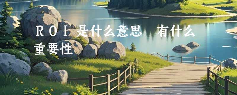 ROI是什么意思 有什么重要性
