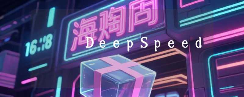 DeepSpeed