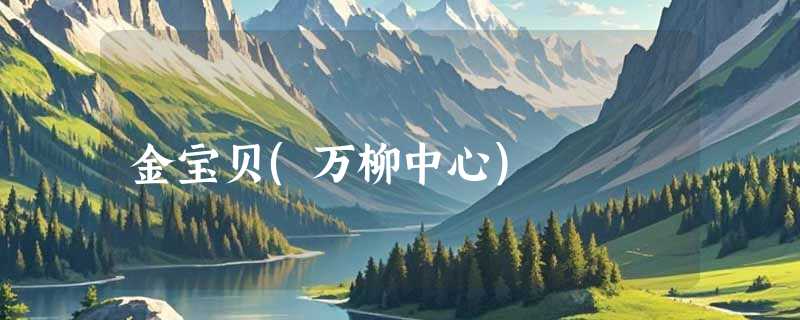 金宝贝(万柳中心)