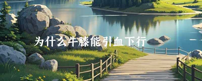 为什么牛膝能引血下行