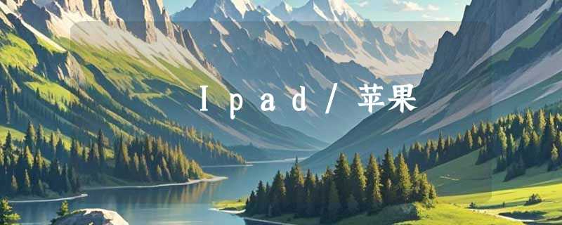 Ipad/苹果