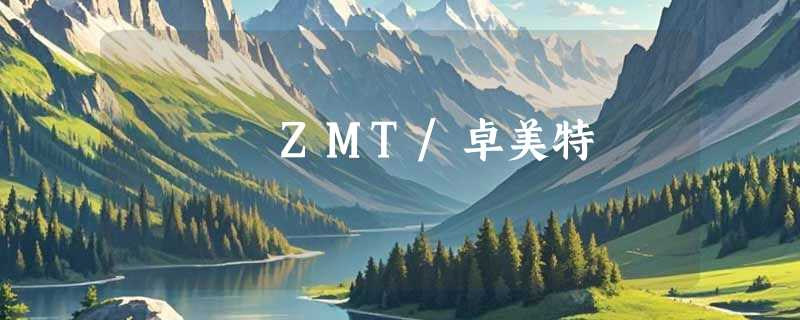 ZMT/卓美特