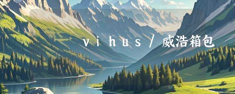 vihus/威浩箱包