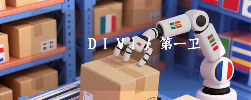 DIVI/第一卫
