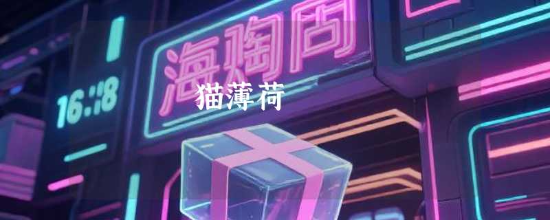 猫薄荷