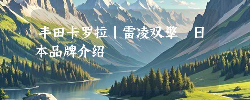 丰田卡罗拉丨雷凌双擎 日本品牌介绍