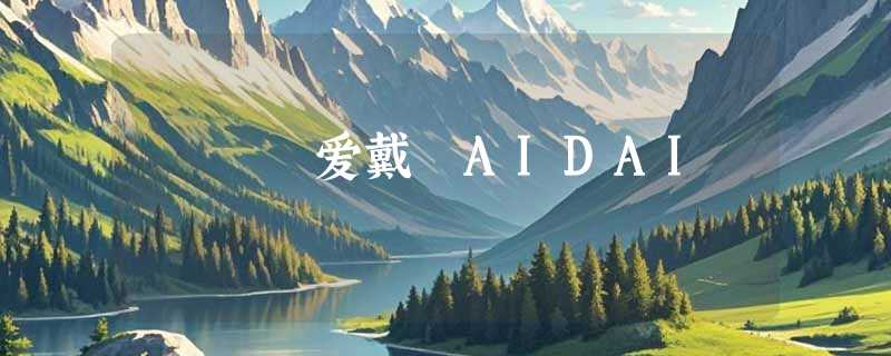 爱戴 AIDAI