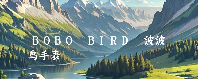 BOBO BIRD 波波鸟手表