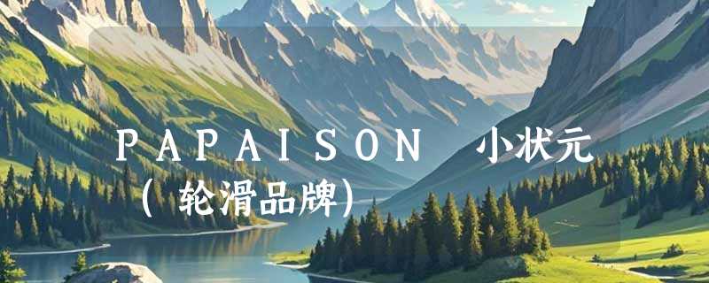 PAPAISON 小状元 (轮滑品牌)