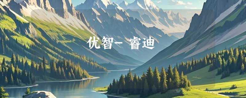优智-睿迪