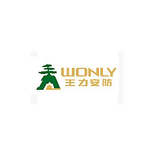 王力