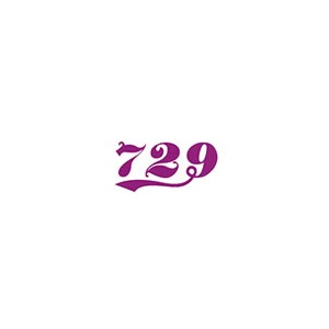 友谊729