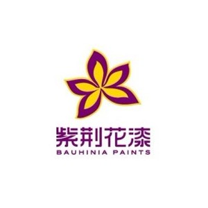 Bauhinia紫荆花漆