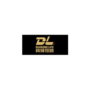 宝辉DL