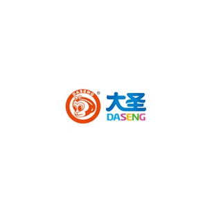 大圣DASENG