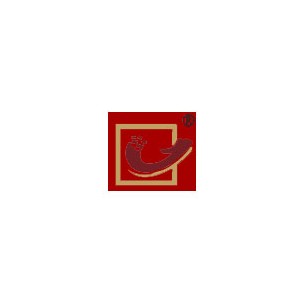 中海飞龙