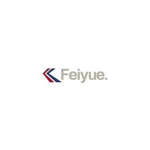 飞跃Feiyue