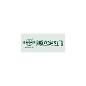 腾达定江