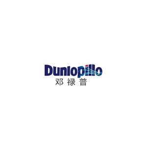 邓禄普Dunlop